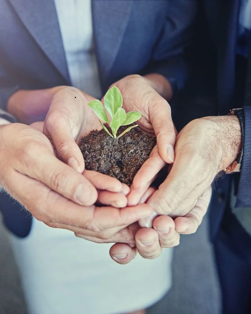 How Care Organisations Can Demonstrate Their Values Daily