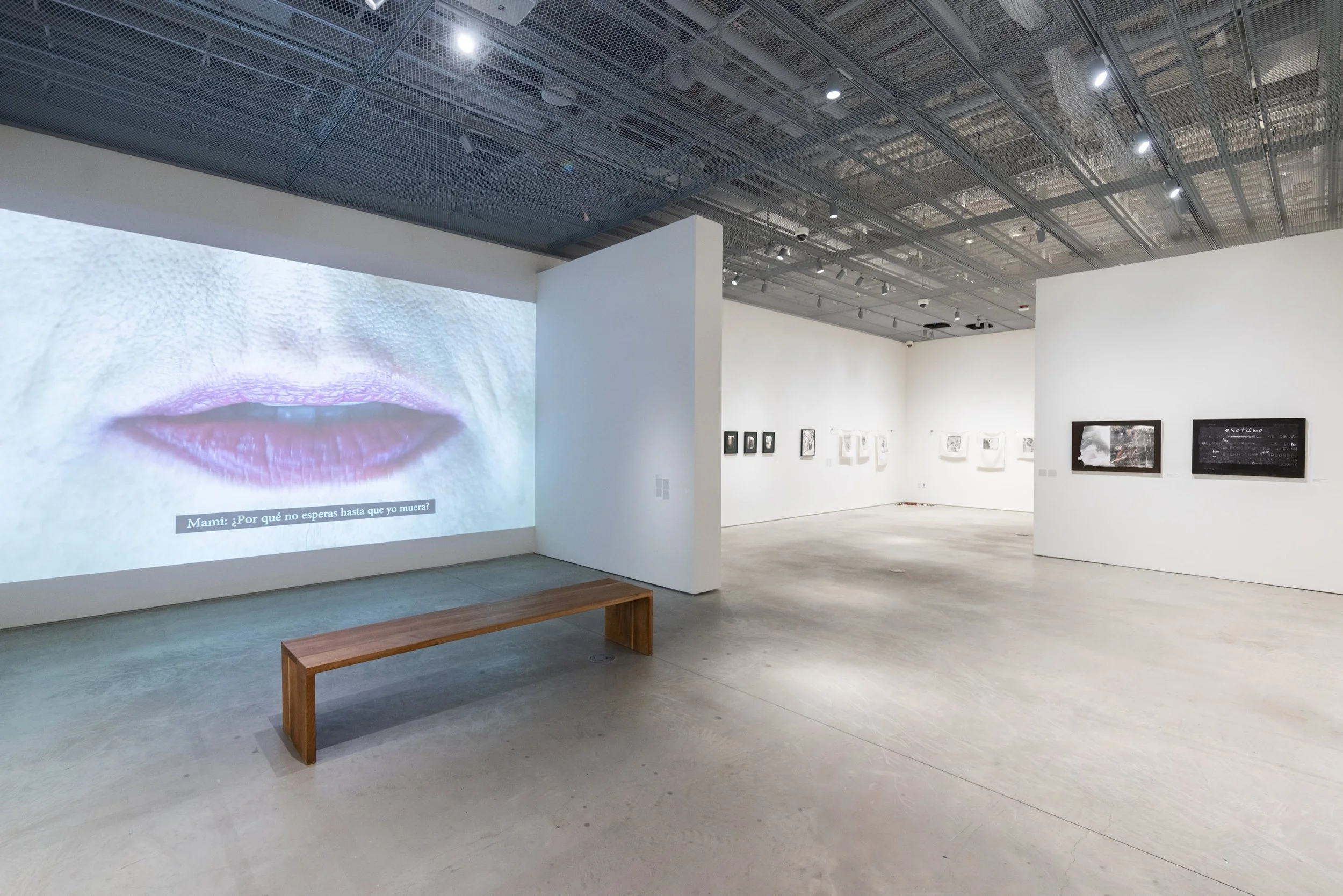 Muriel Hasbún — Tracing Terruño