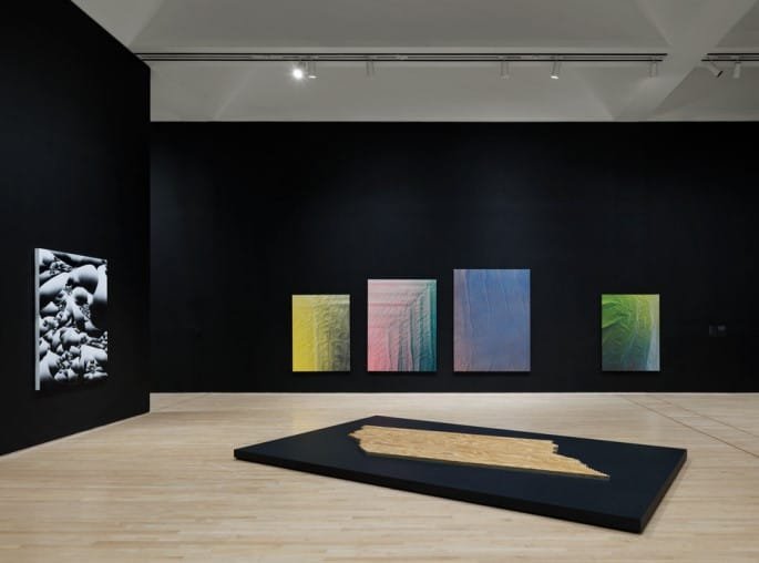 Tauba Auerbach — S v Z