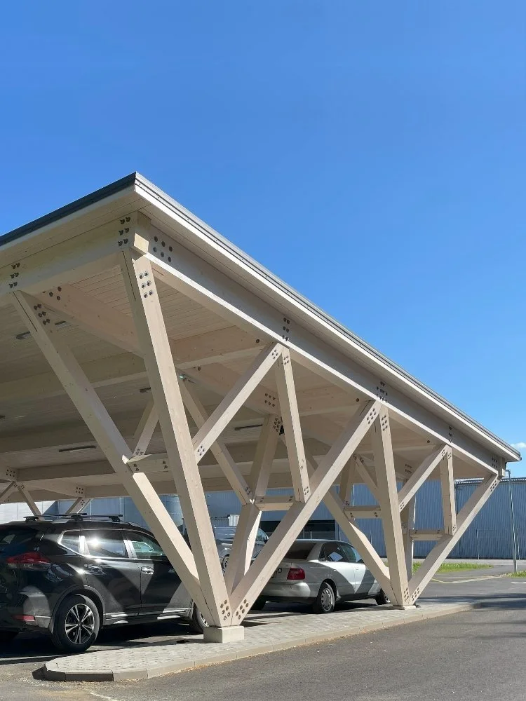 Canopy at Viiratsi Sawmill