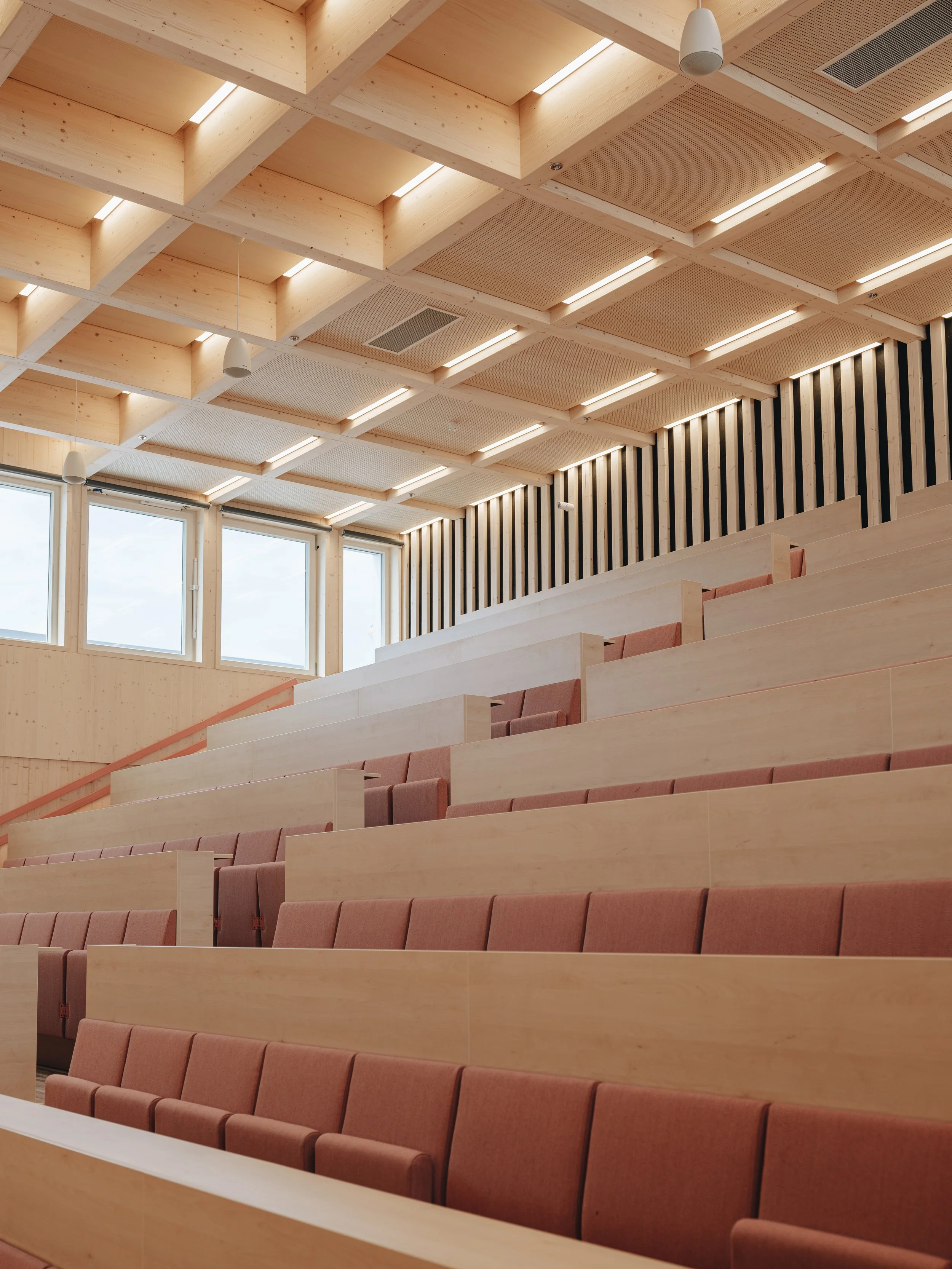 Empty modern lecture hall with tiered wooden seating and a wooden ceiling with rectangular light fixtures.