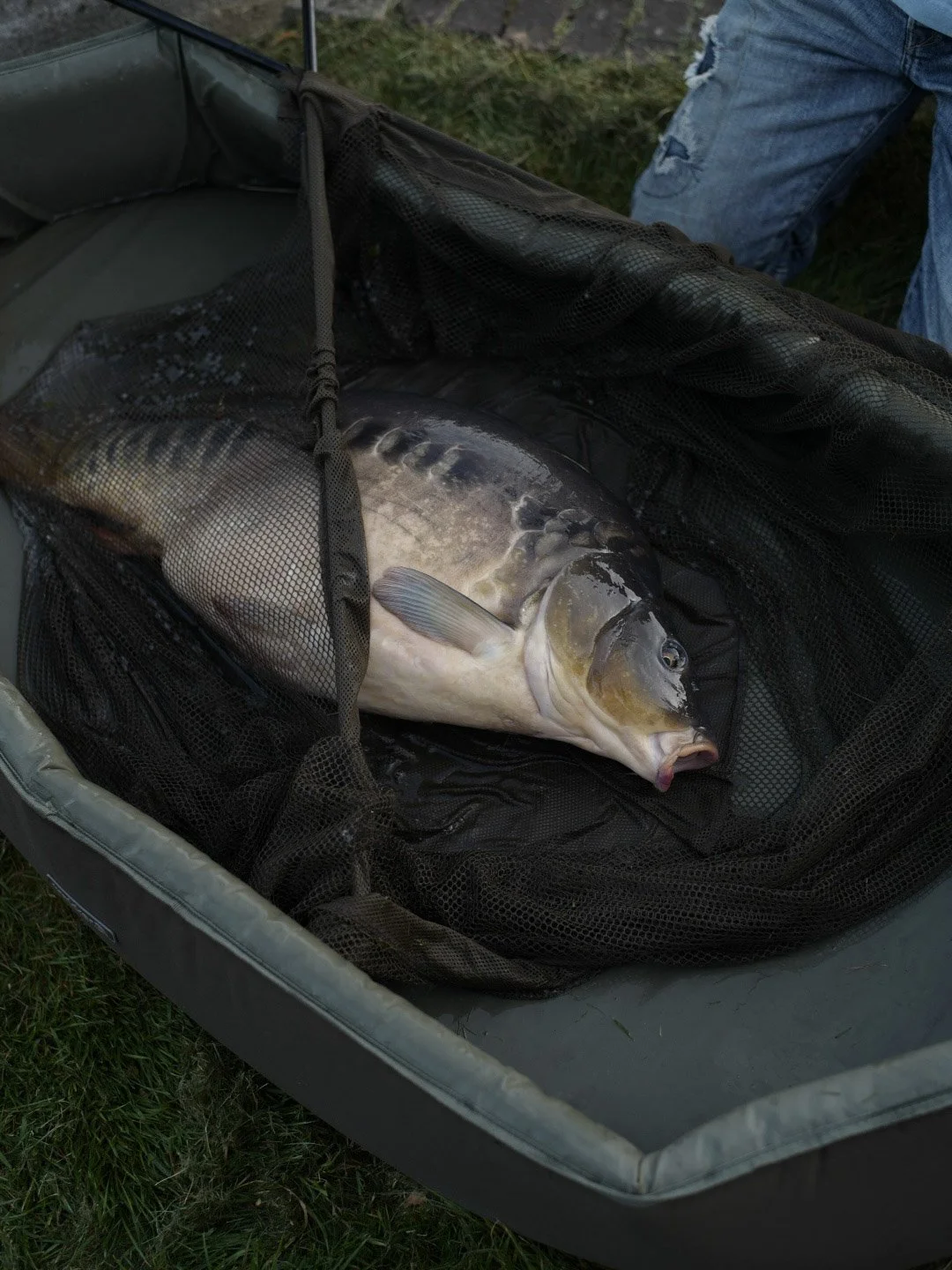 Carp Fishermen of Amsterdam