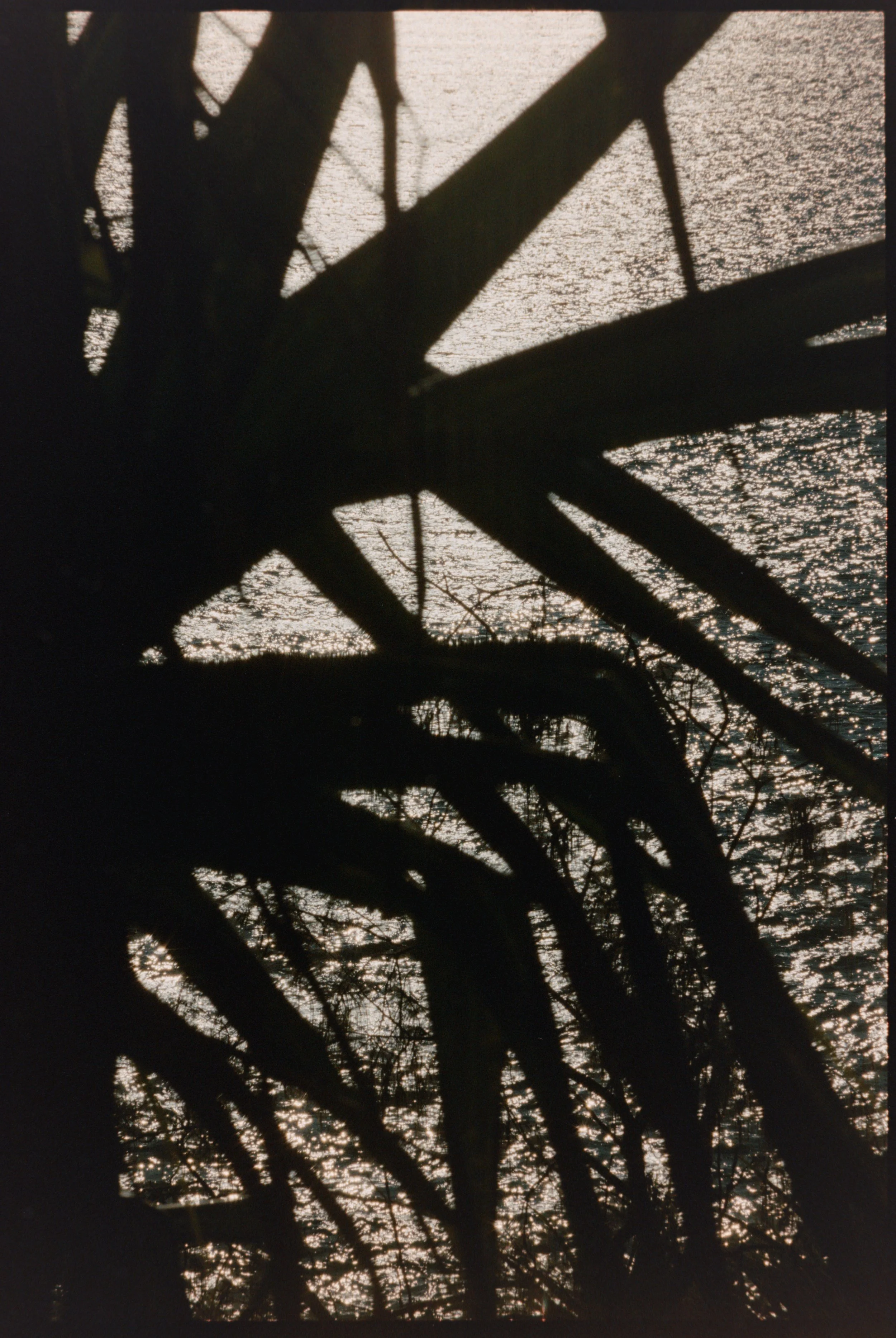 Noothera (Shady Place)