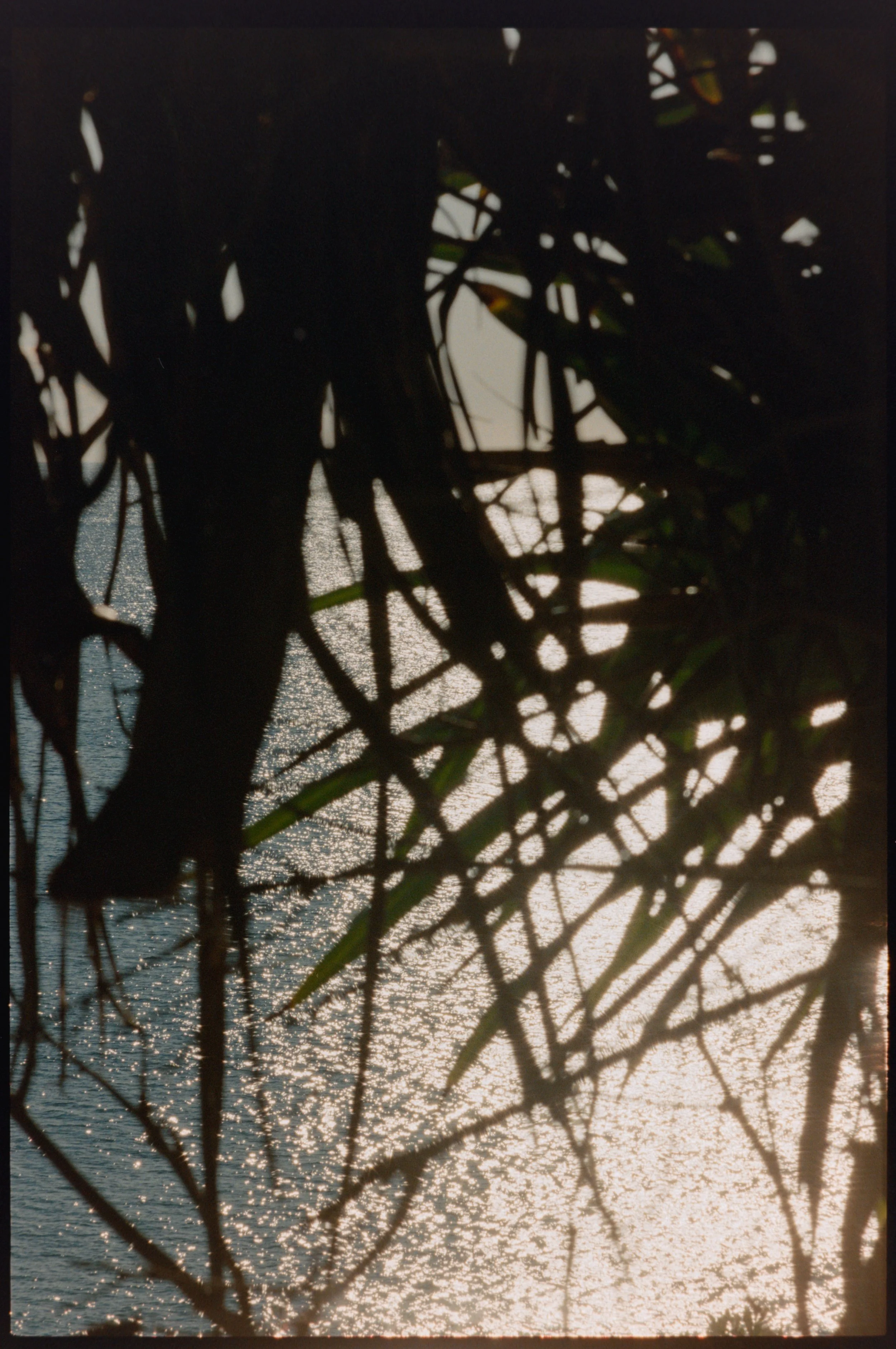 Noothera (Shady Place)