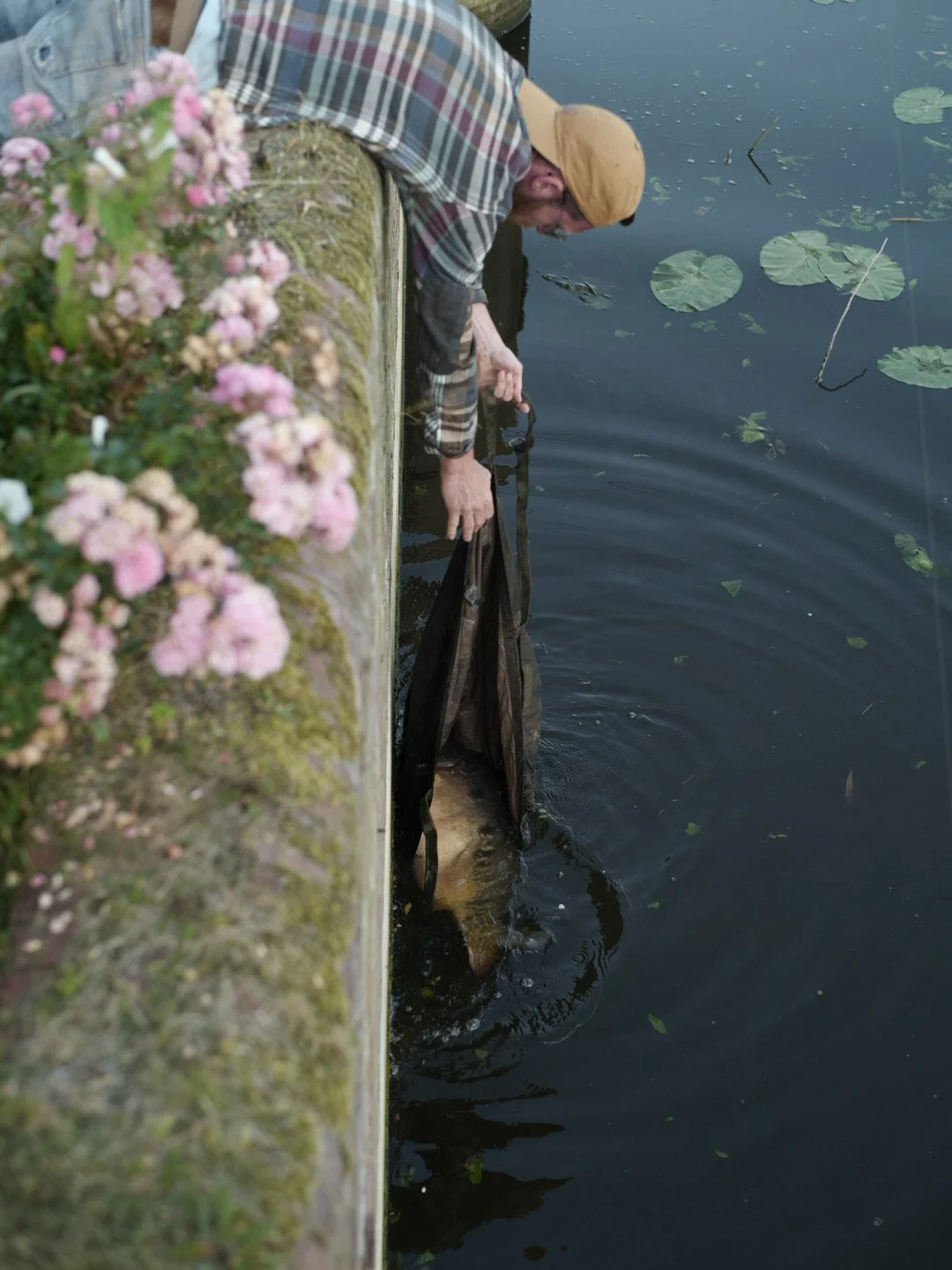 Carp Fishermen of Amsterdam