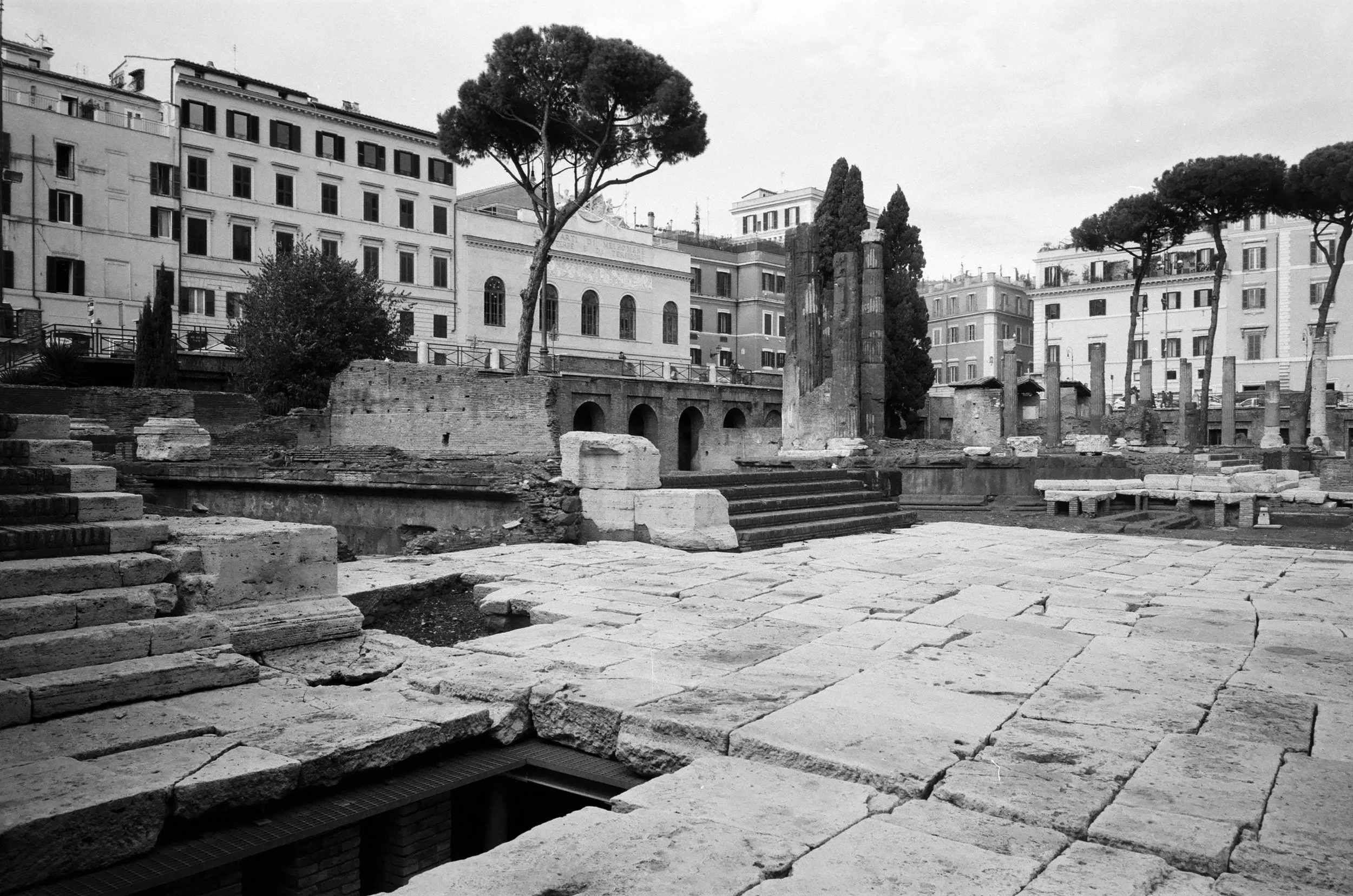 The tall tree in the centre is approximately the place where Julius Caesar was assassinated. Ilford FP4.