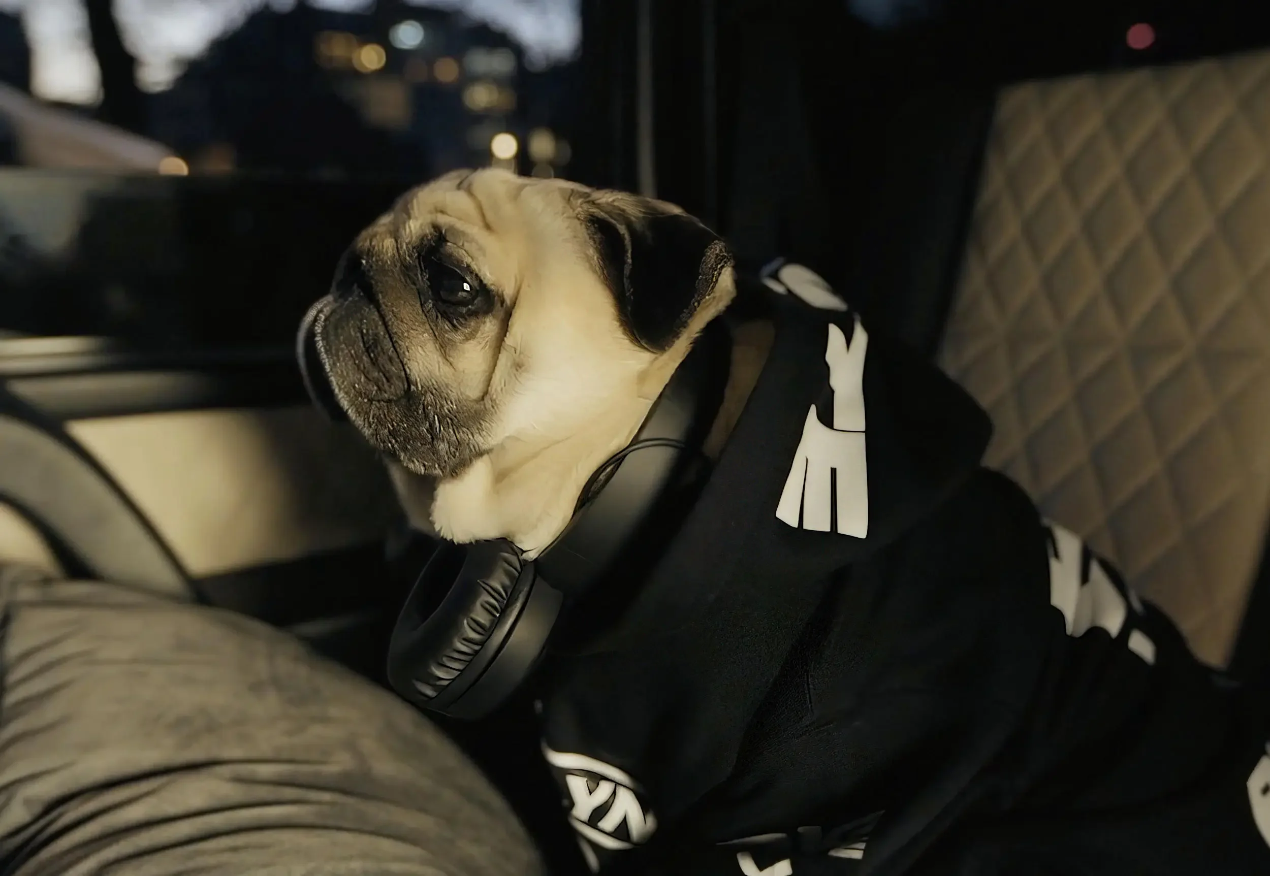 Brooklyn Beer X Puggy Smalls