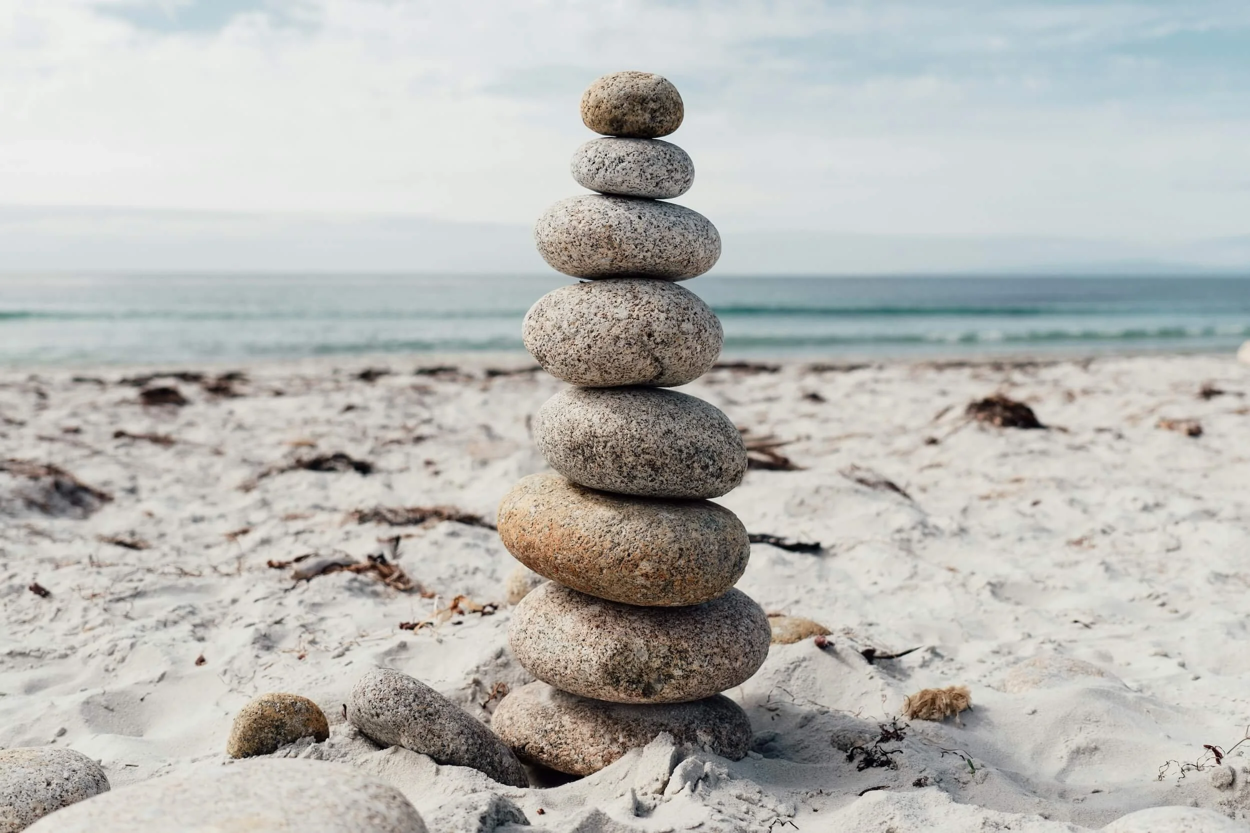 What Is a Primal Question?