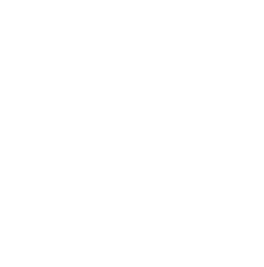 Noah´s Ark Roofing