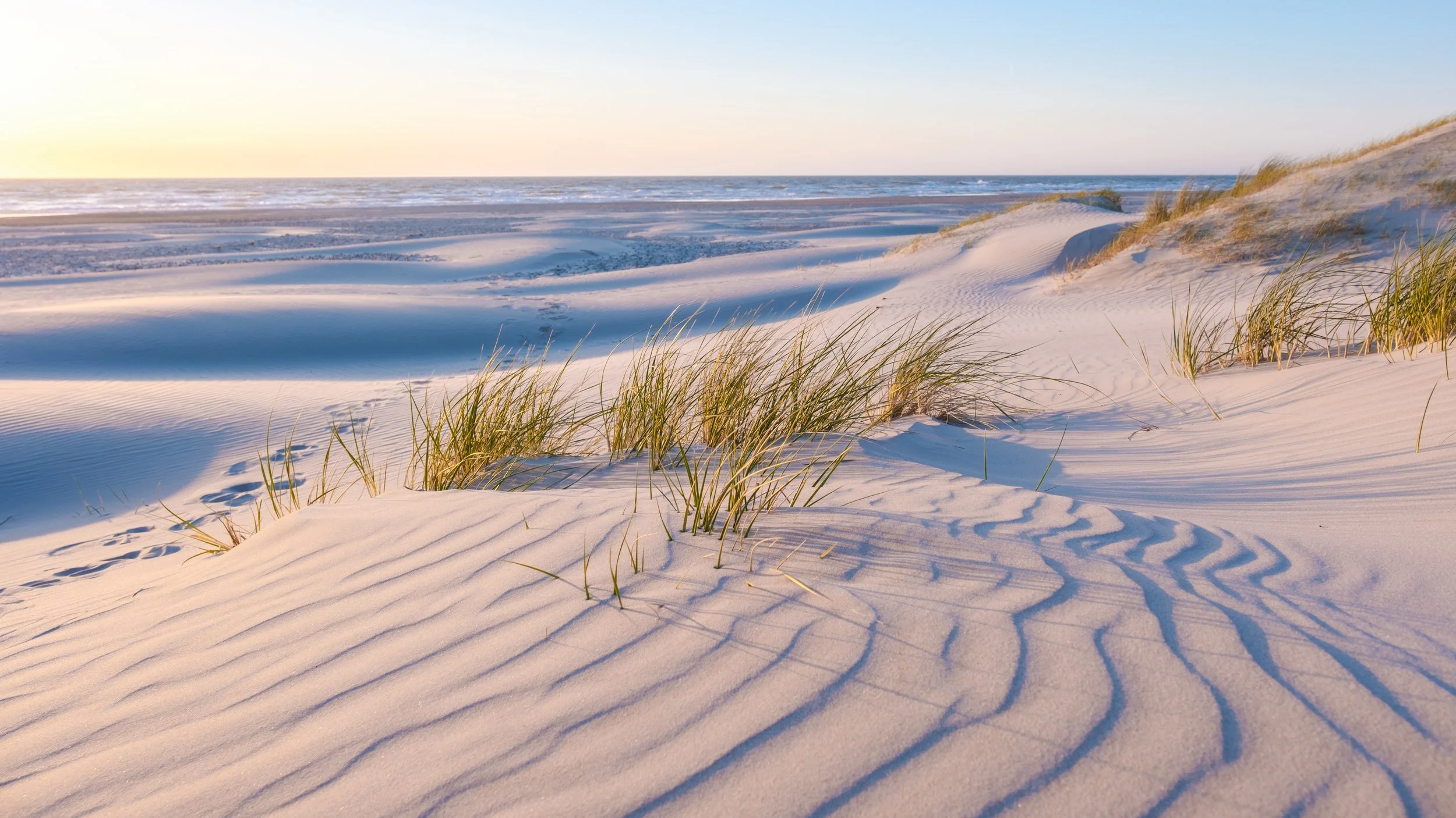 Dune sand with grass and footprints near the ocean at sunrise