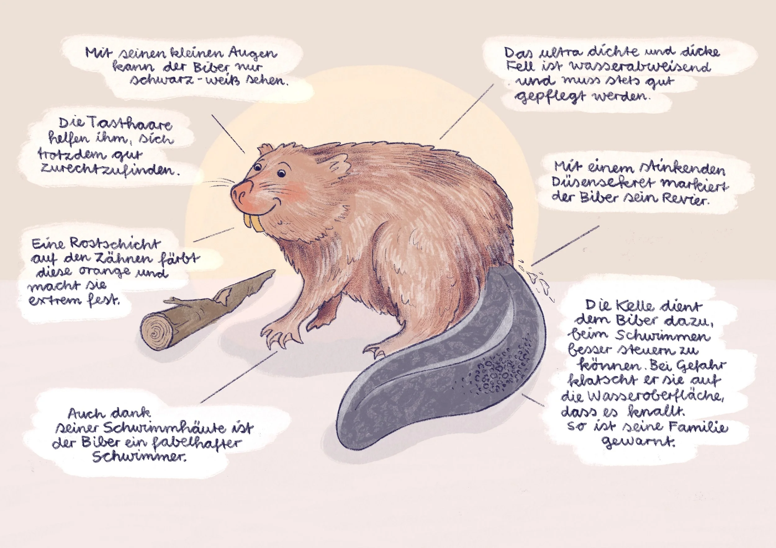 Unbenanntes_Projekt 21.jpg