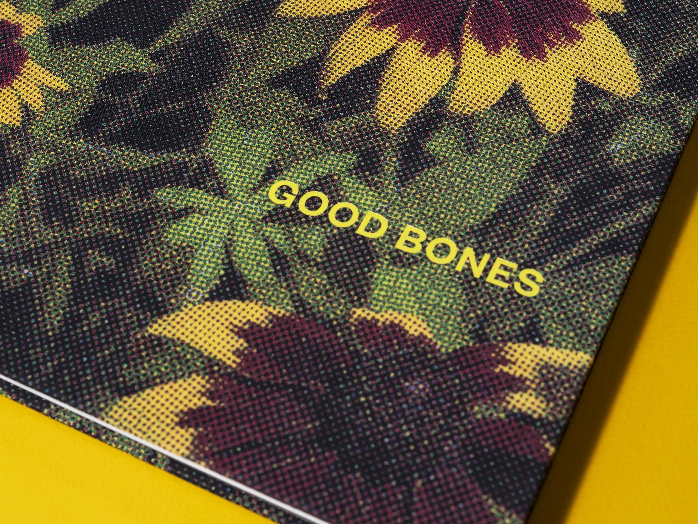 Good bones cover.jpg
