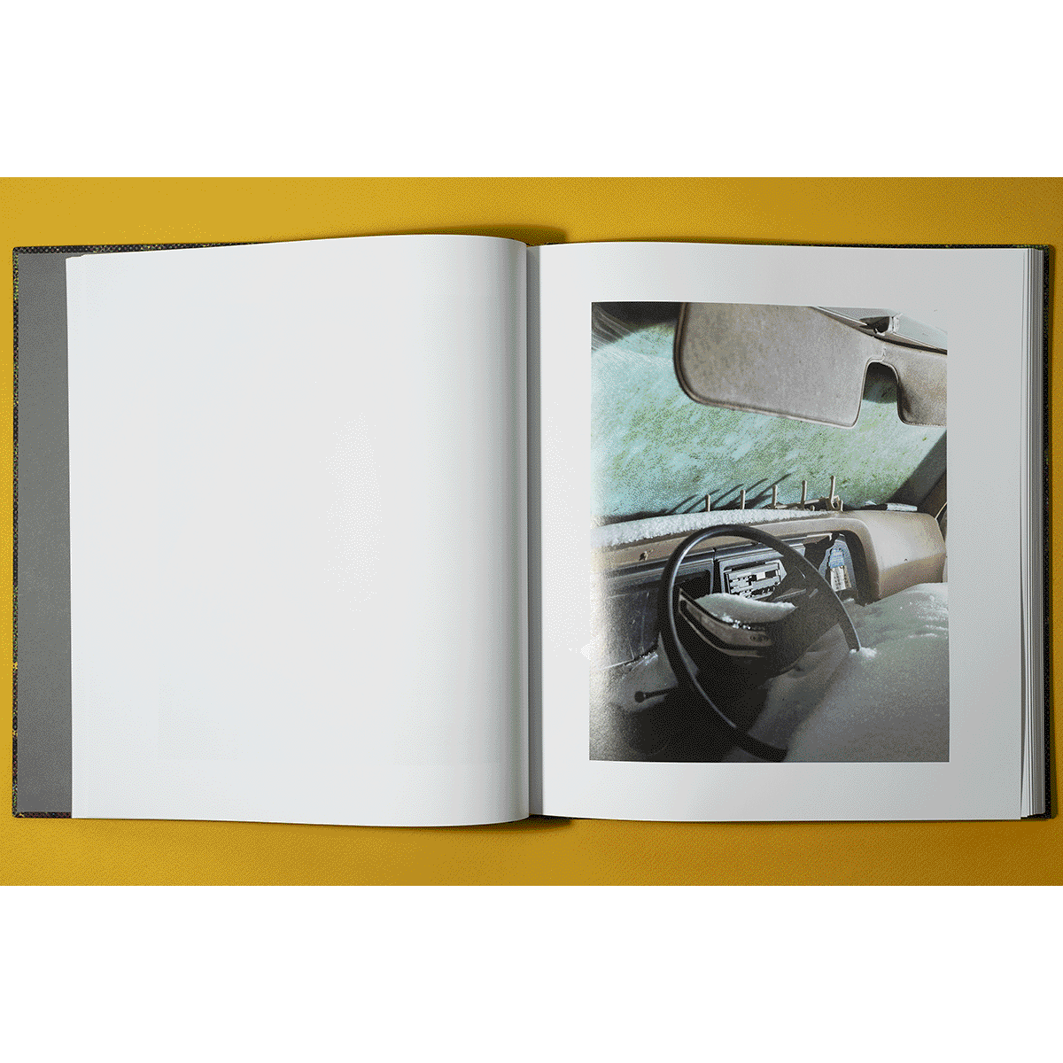 Good Bones Gif copy.gif