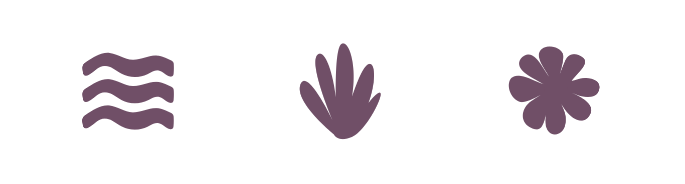 Illustration of three icons representing water waves, a plant, and a flower,  representing the 3 step process of working with a seasonal living coach for women, women’s hormone nutritionist, body dysmorphia support