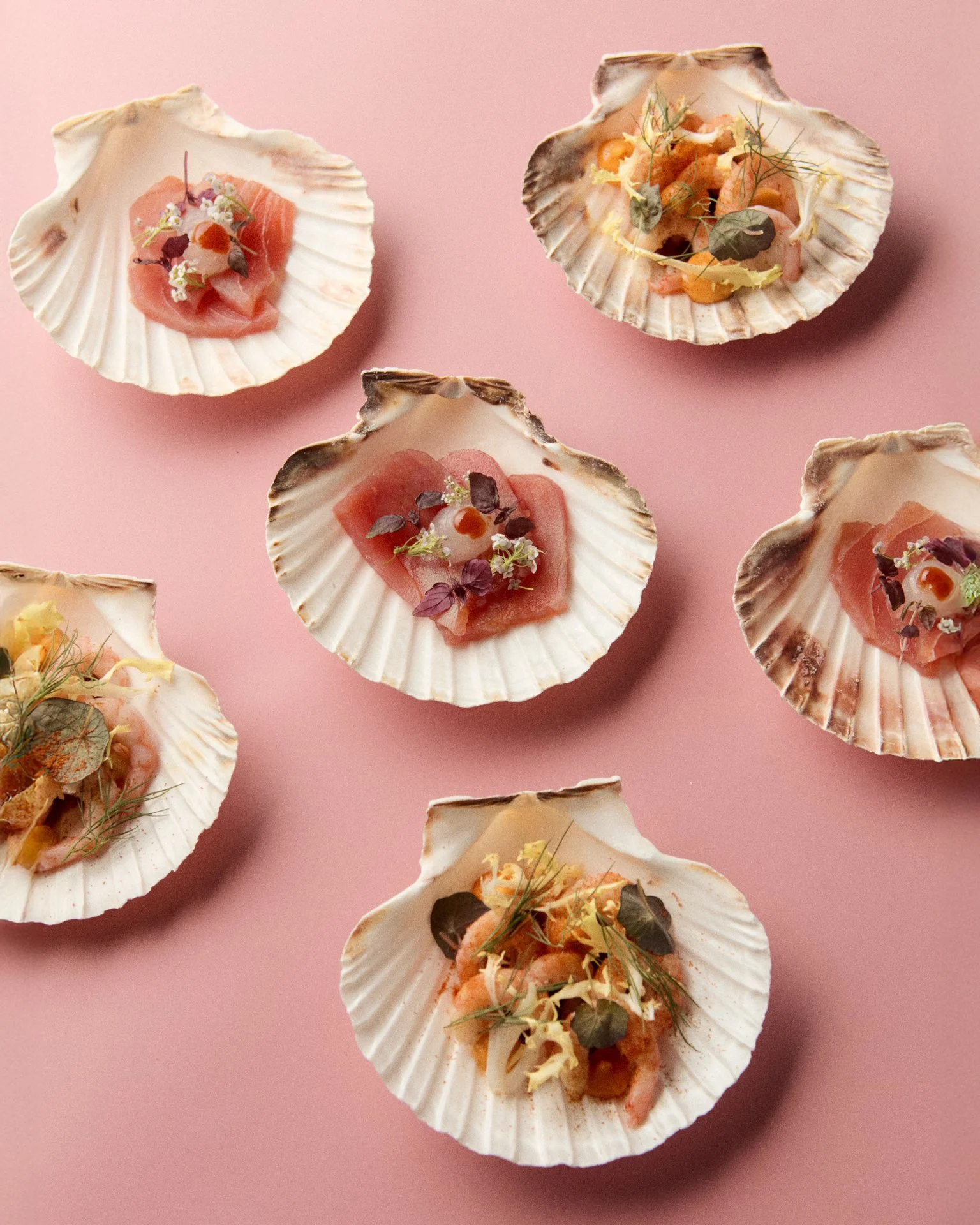 Fem muslingeskaller med tartar af fisk, pyntet med urter og blomster, lagt på en pink baggrund.