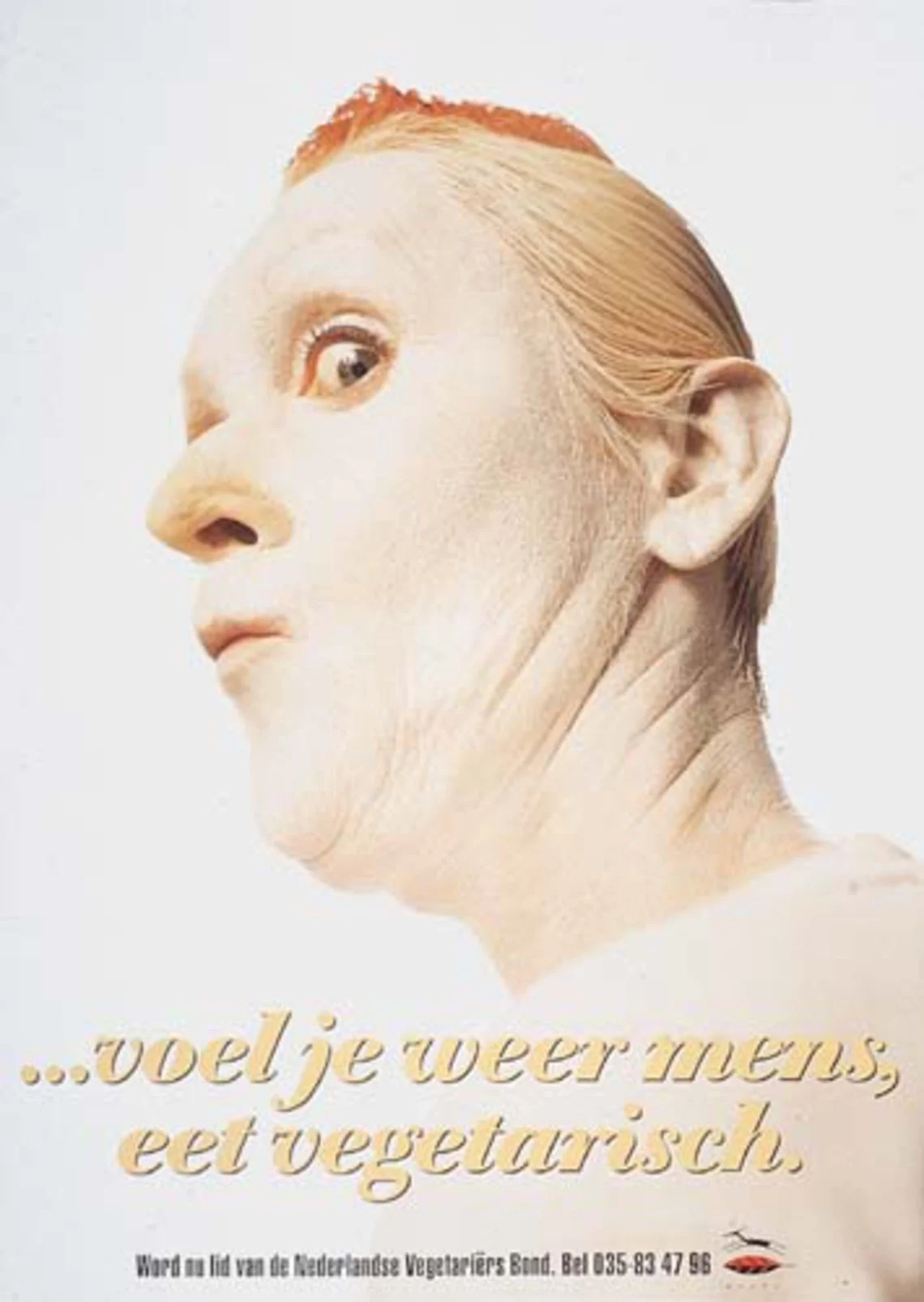 Vegetarierbond Voel je weer mens, eet vegetarisch ‘kip’