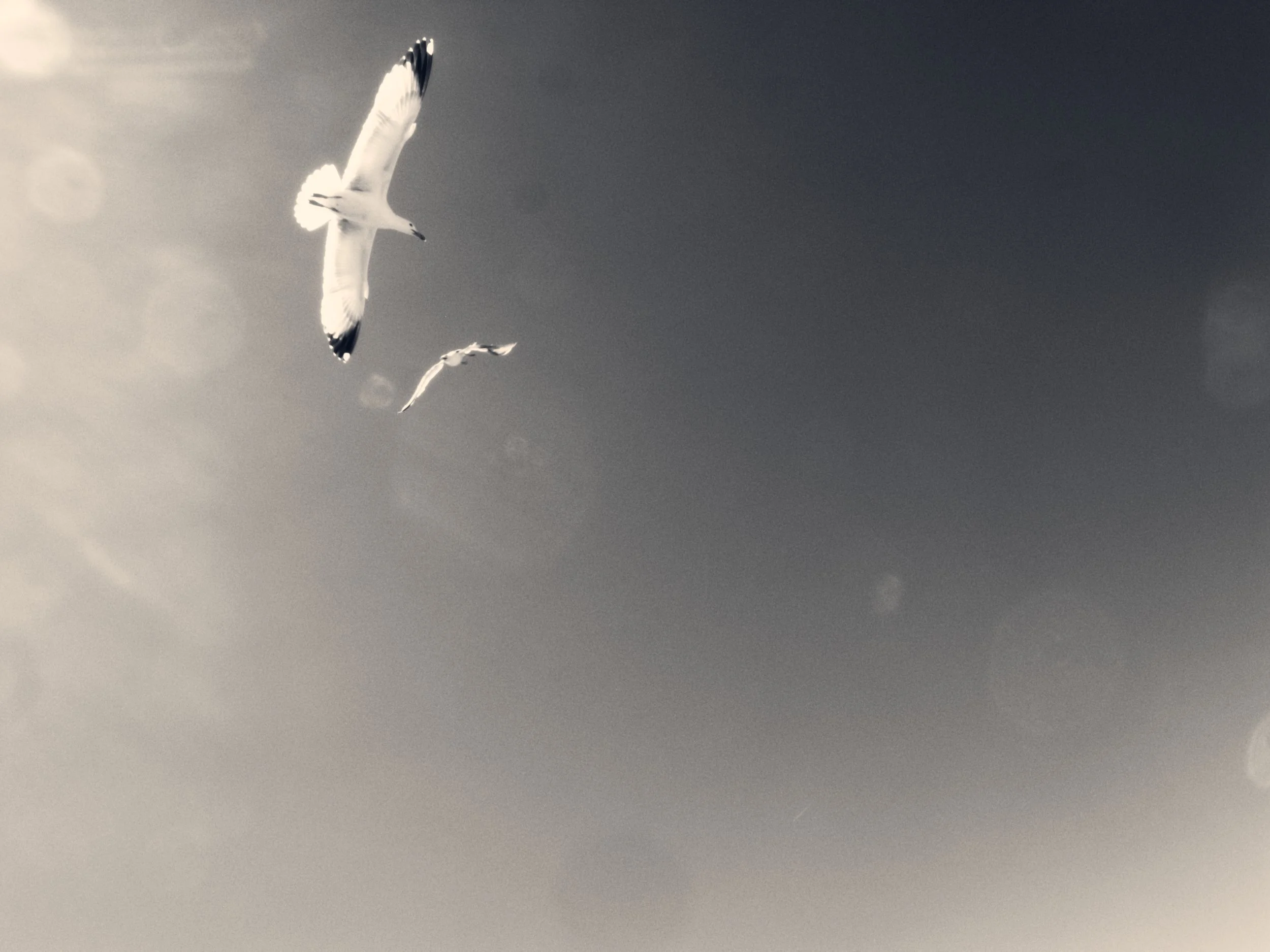 R9846623edited.jpg