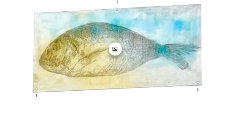 Blue Trim Memory 2 (2).jpeg