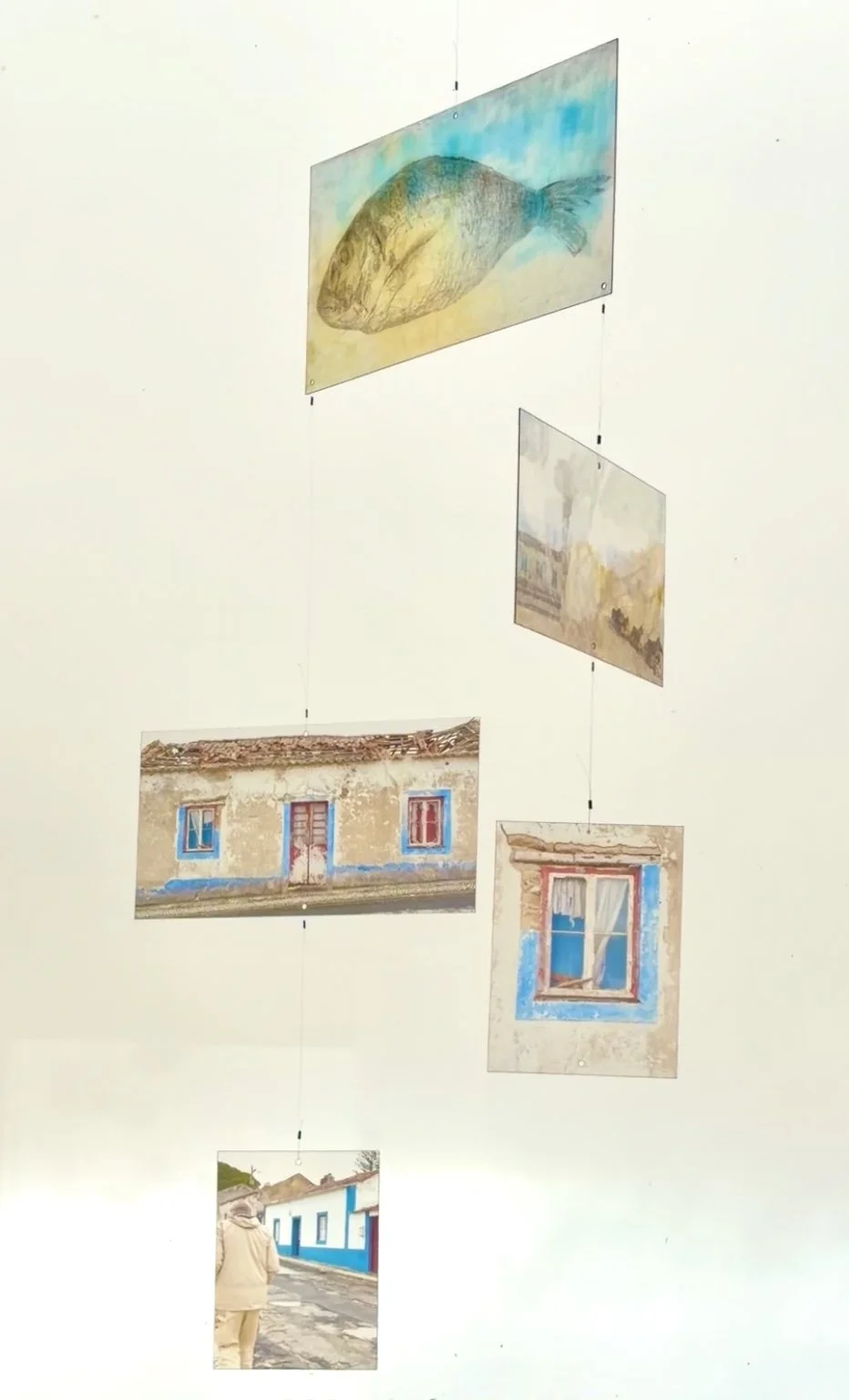 Blue Trim Memory 2 (1).jpeg