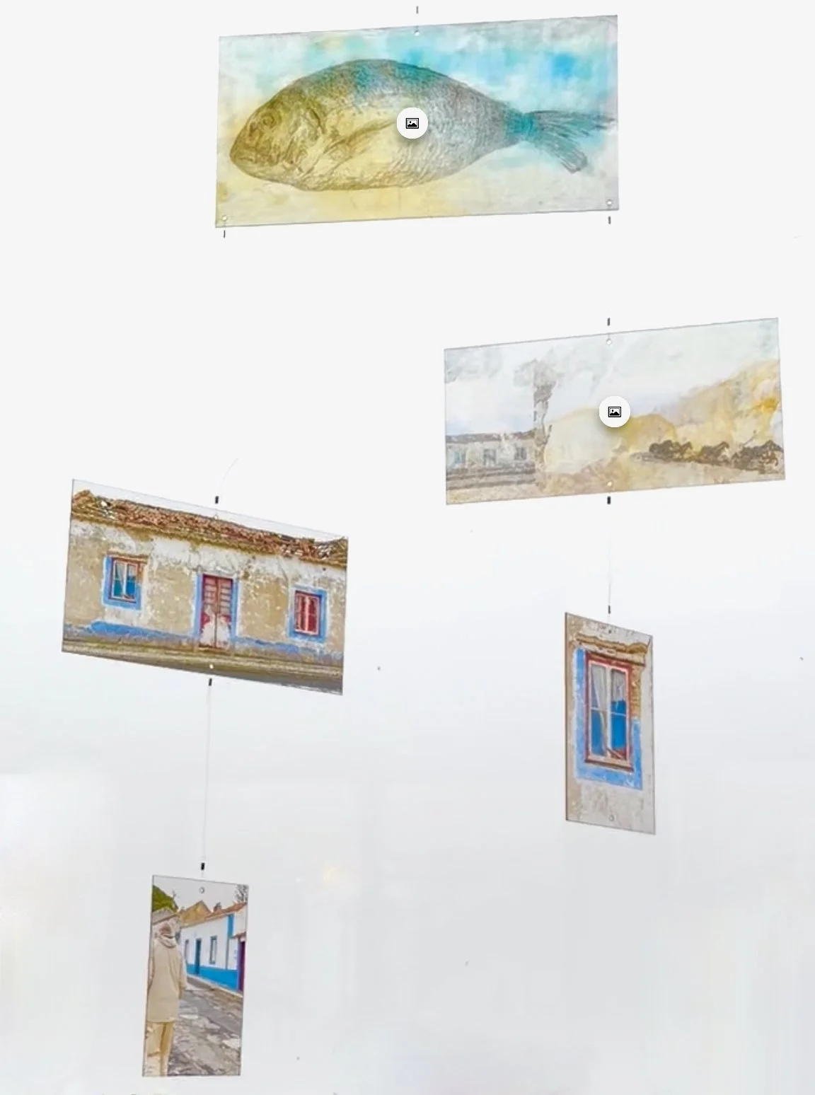 Blue Trim Memory 2.jpeg