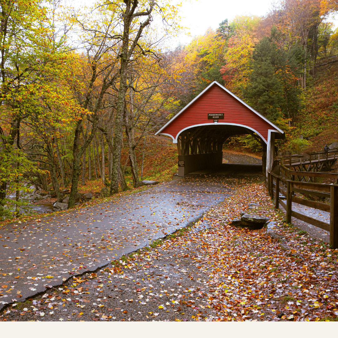 Best Towns in Southern New Hampshire: A Guide for Different Lifestyles