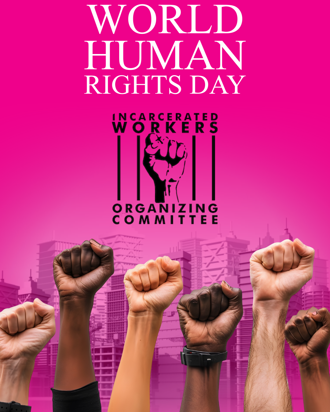 World Human Rights Day Community Partner Spotlight