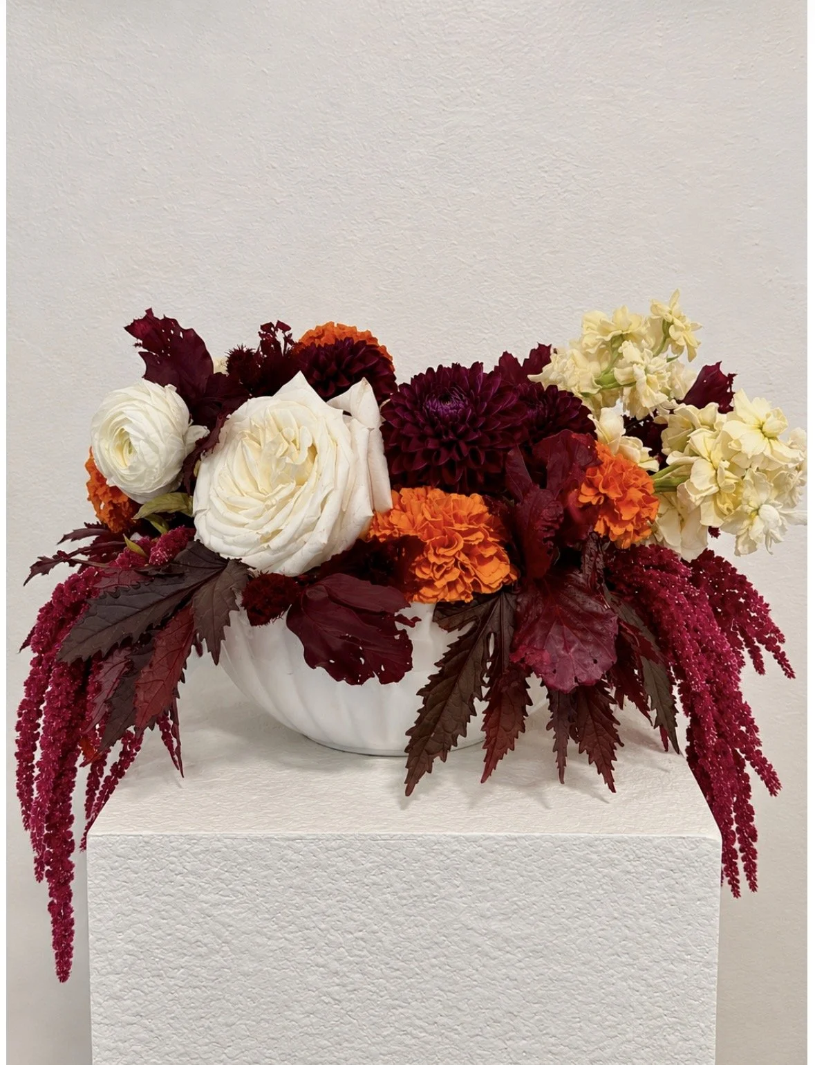 A floral arrangement in a white ceramic vase featuring white roses, dark red dahlias, orange and yellow marigolds, and deep red leaves with hanging pinkish-red amaranthus flowers, set against a plain beige wall.