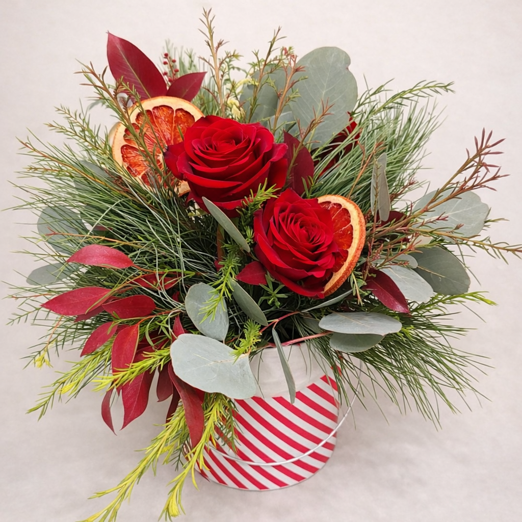 A festive holiday floral arrangement with red roses, evergreen branches, eucalyptus, and slices of dried orange in a striped container.