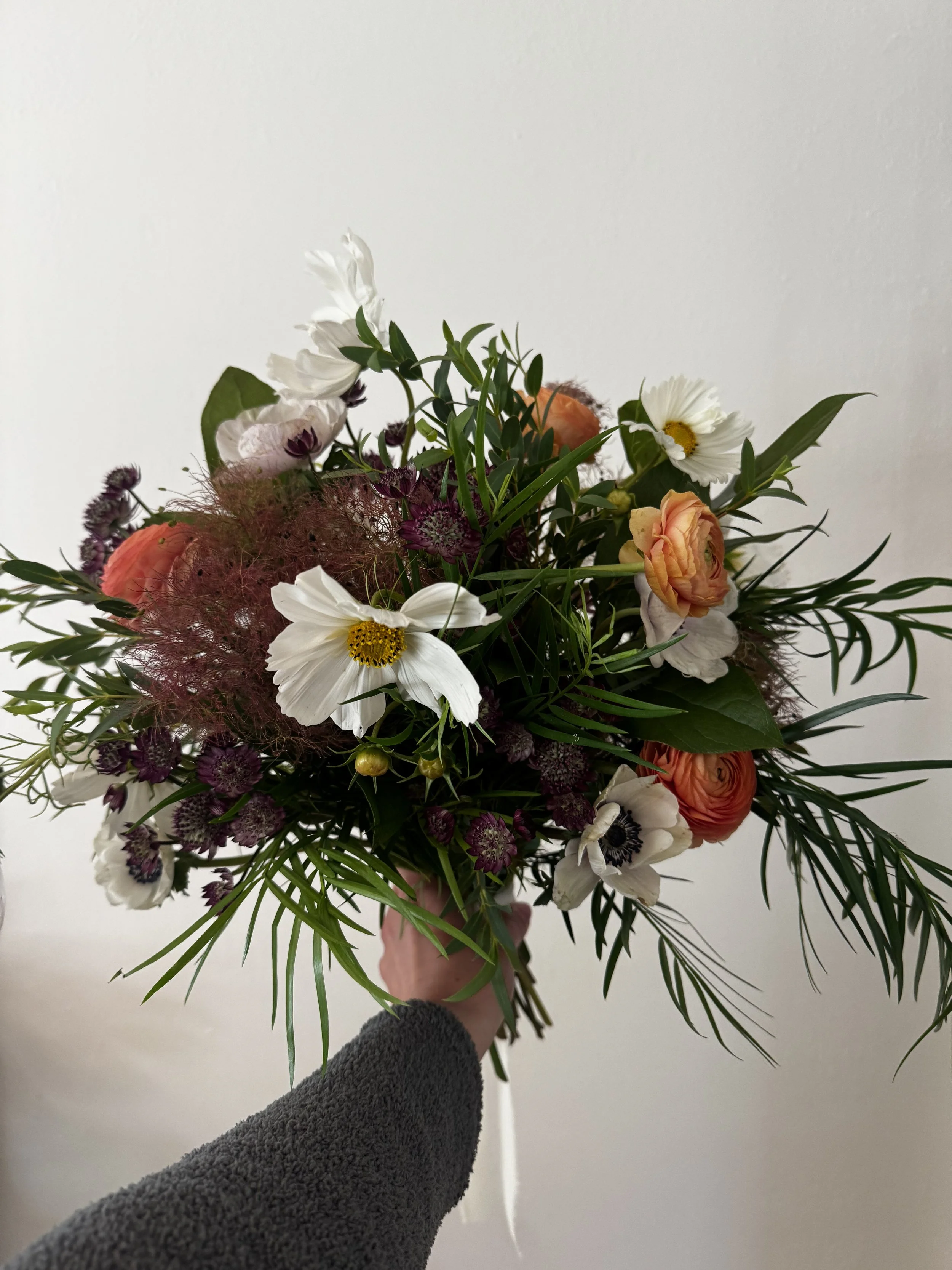 IMG_3515.jpeg