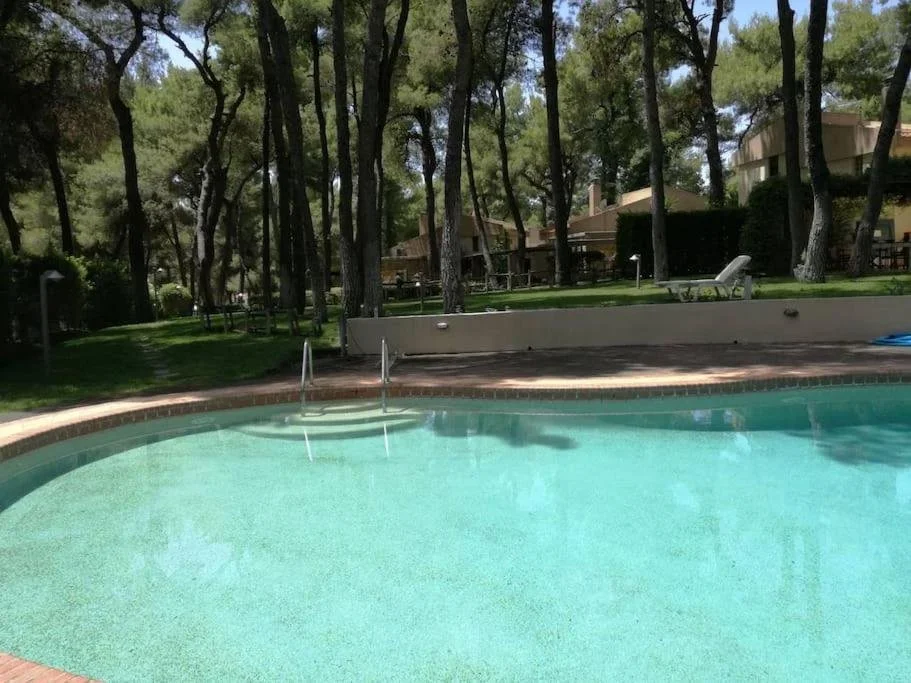 SANI LILI 2- (23).jpg