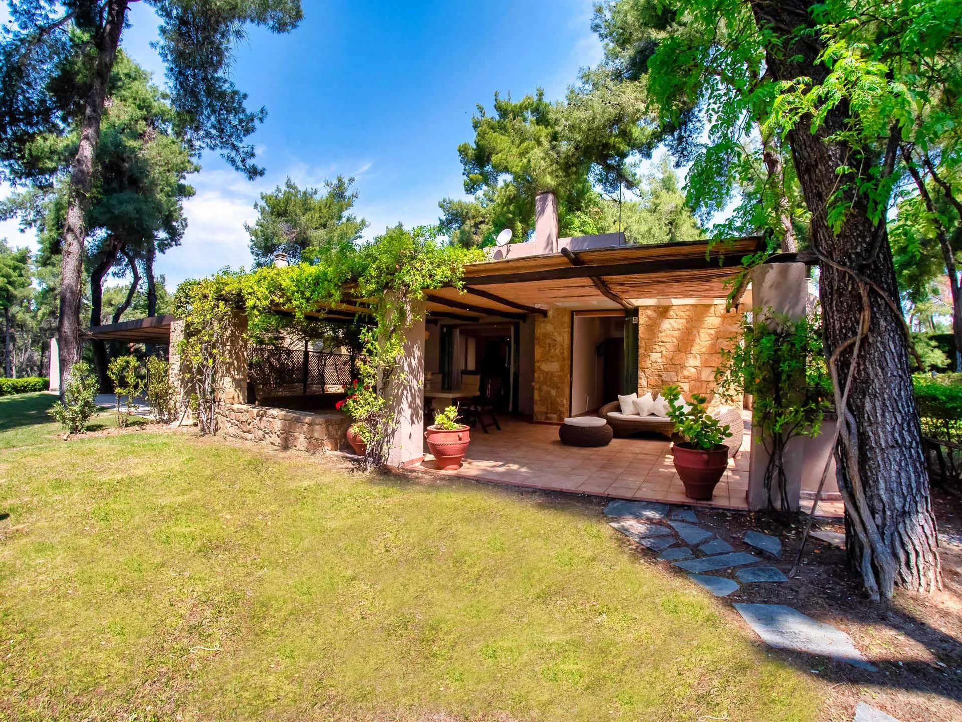 SANI LILI 2- (3).jpg