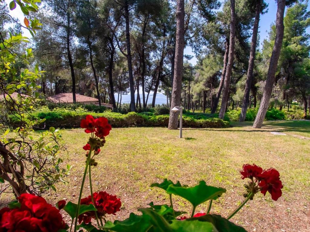 SANI LILI 2- (19).jpg