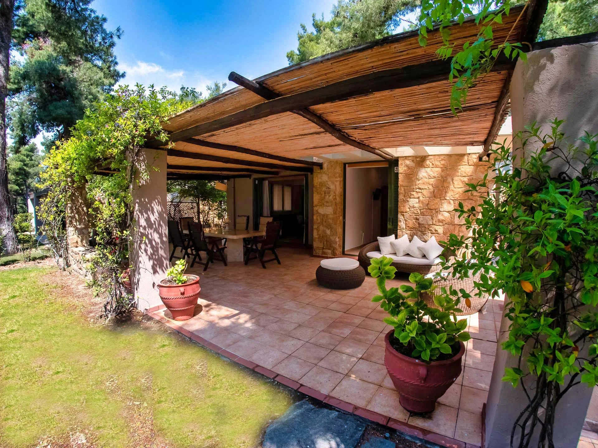 SANI LILI 2- (4).jpg