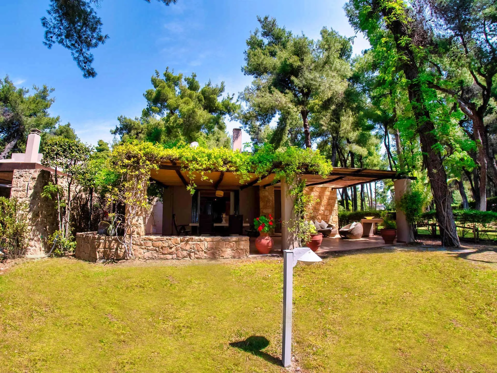 SANI LILI 2- (2).jpg