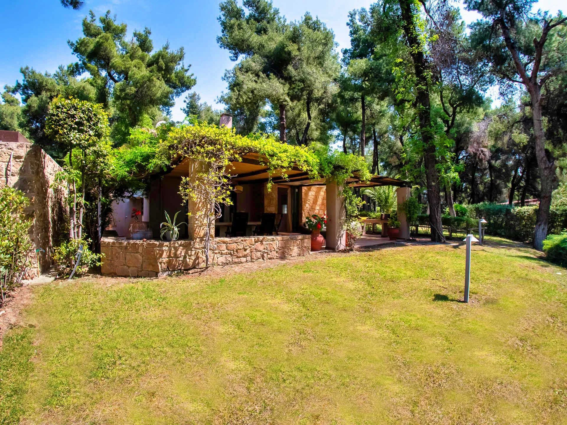 SANI LILI 2- (1).jpg