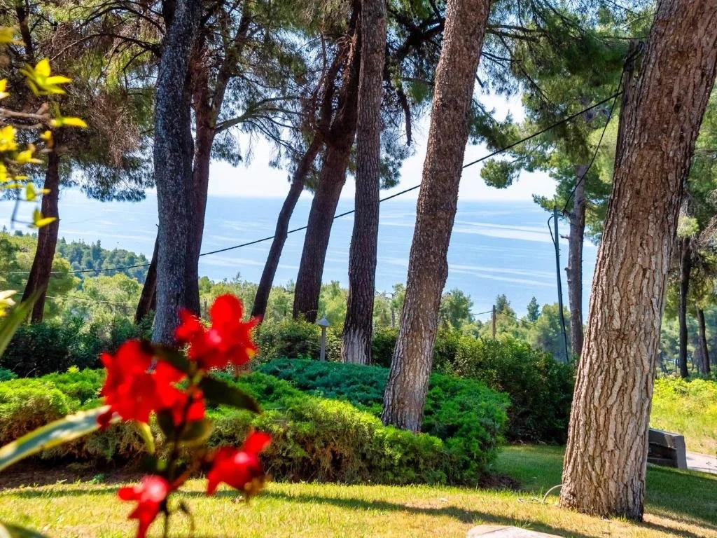 SANI LILI 2- (15).jpg