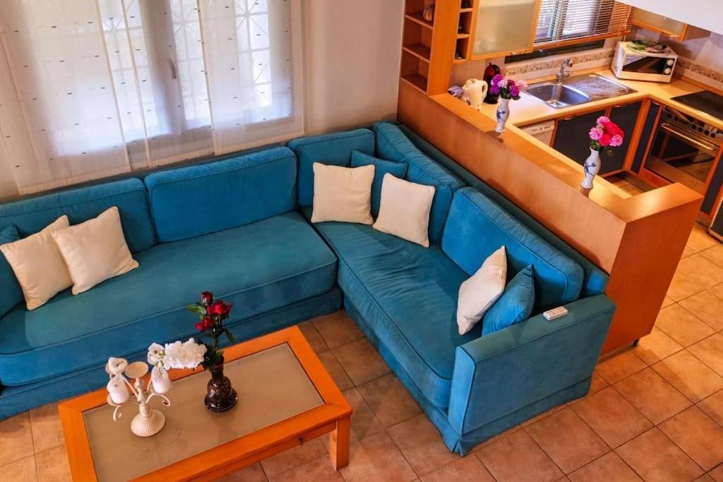 SANI LILI 2- (36).jpg