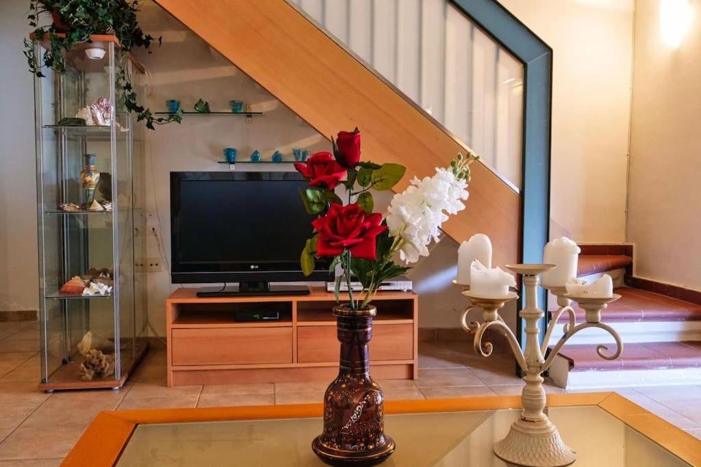 SANI LILI 2- (38).jpg