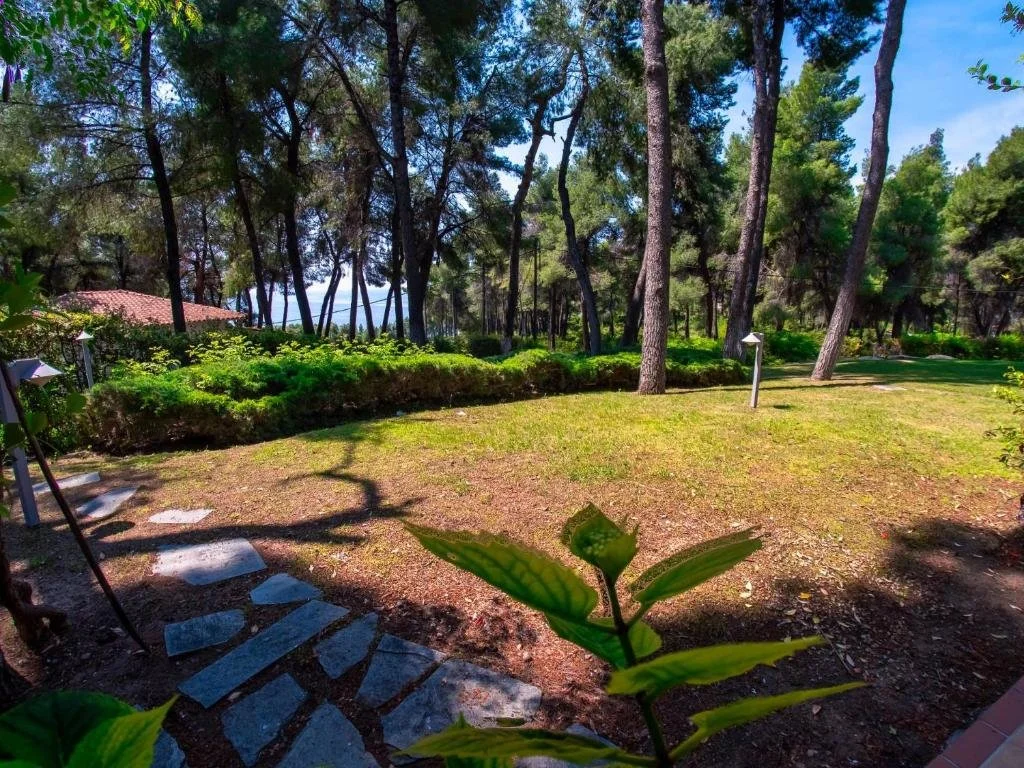 SANI LILI 2- (18).jpg