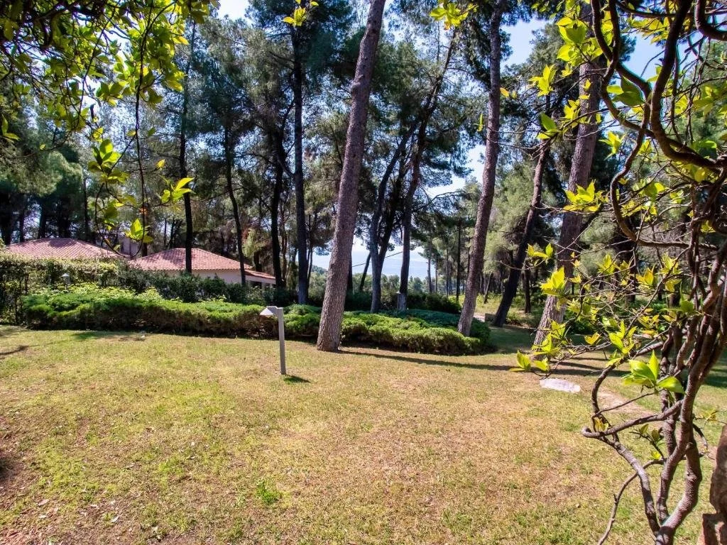 SANI LILI 2- (20).jpg