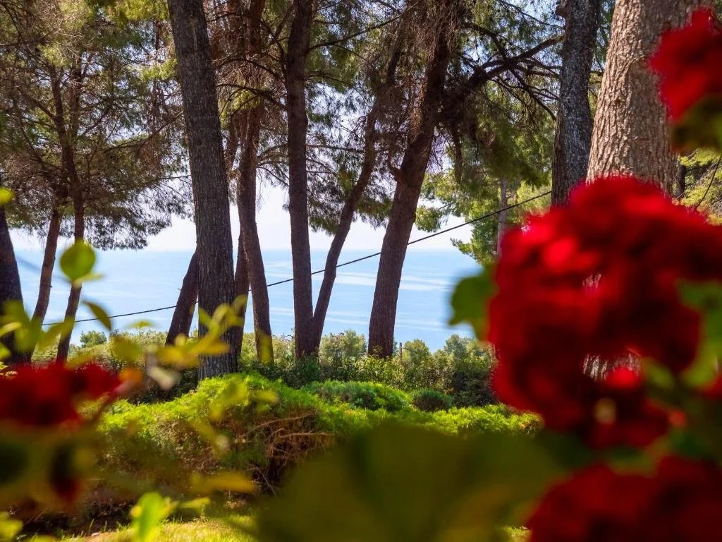 SANI LILI 2- (8).jpg