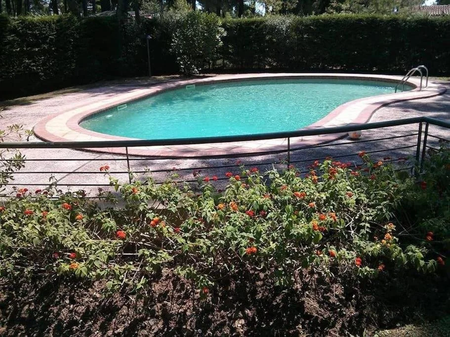 SANI LILI 2- (26).jpg