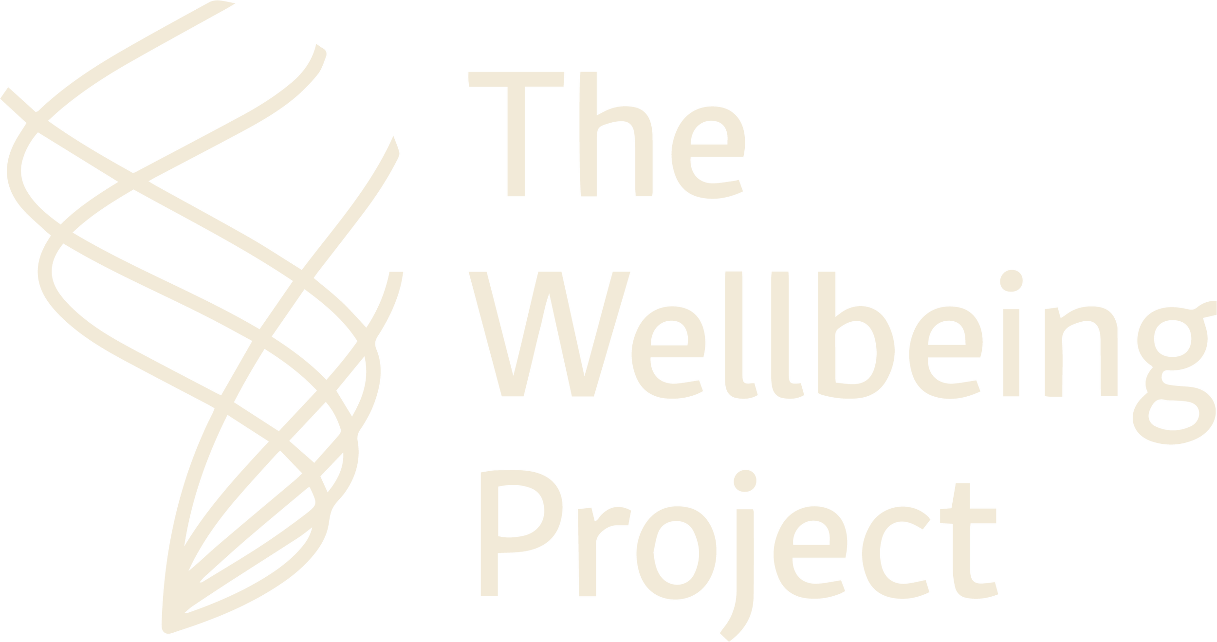 Logo Wellbeing Project.webp
