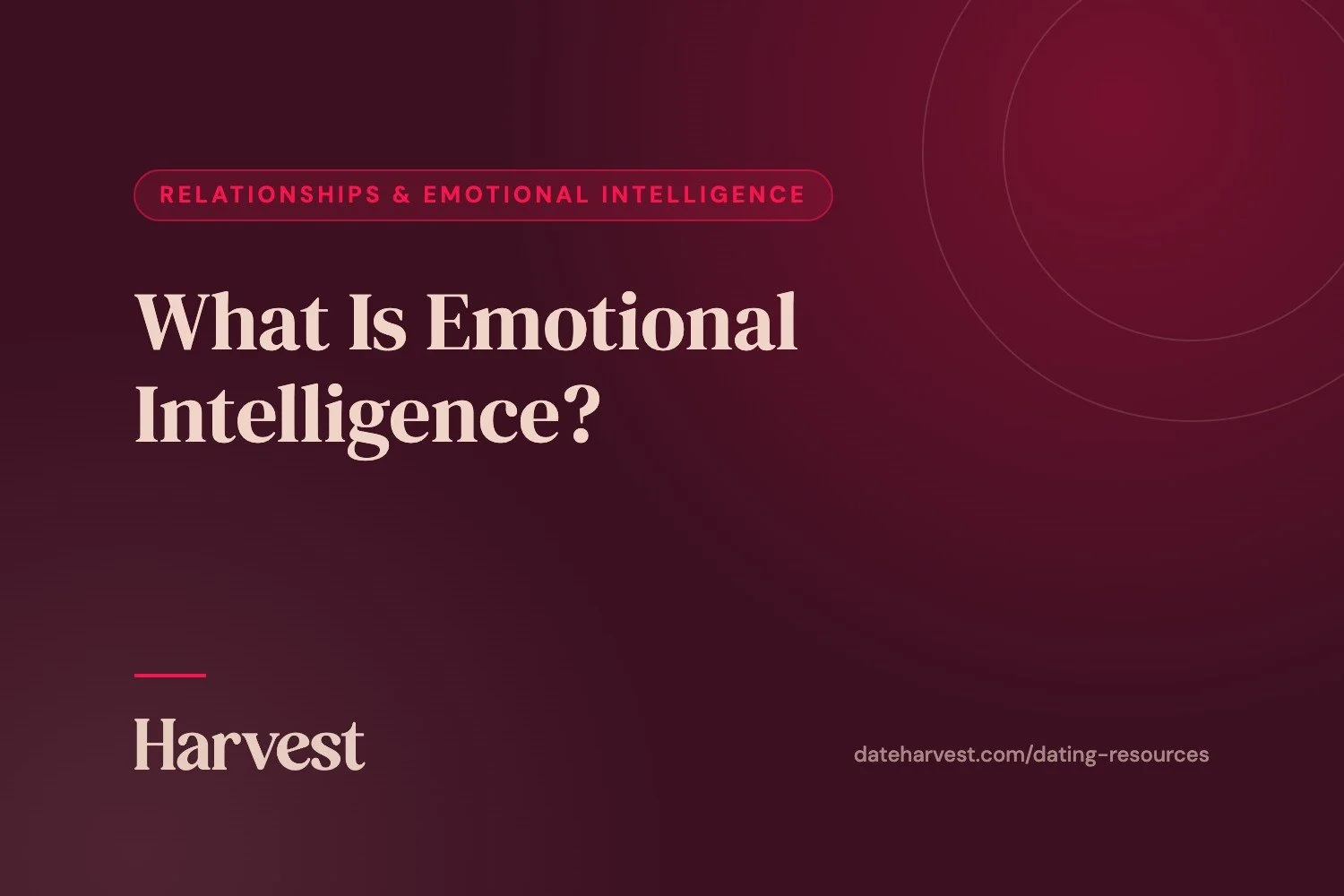What Is Emotional Intelligence?