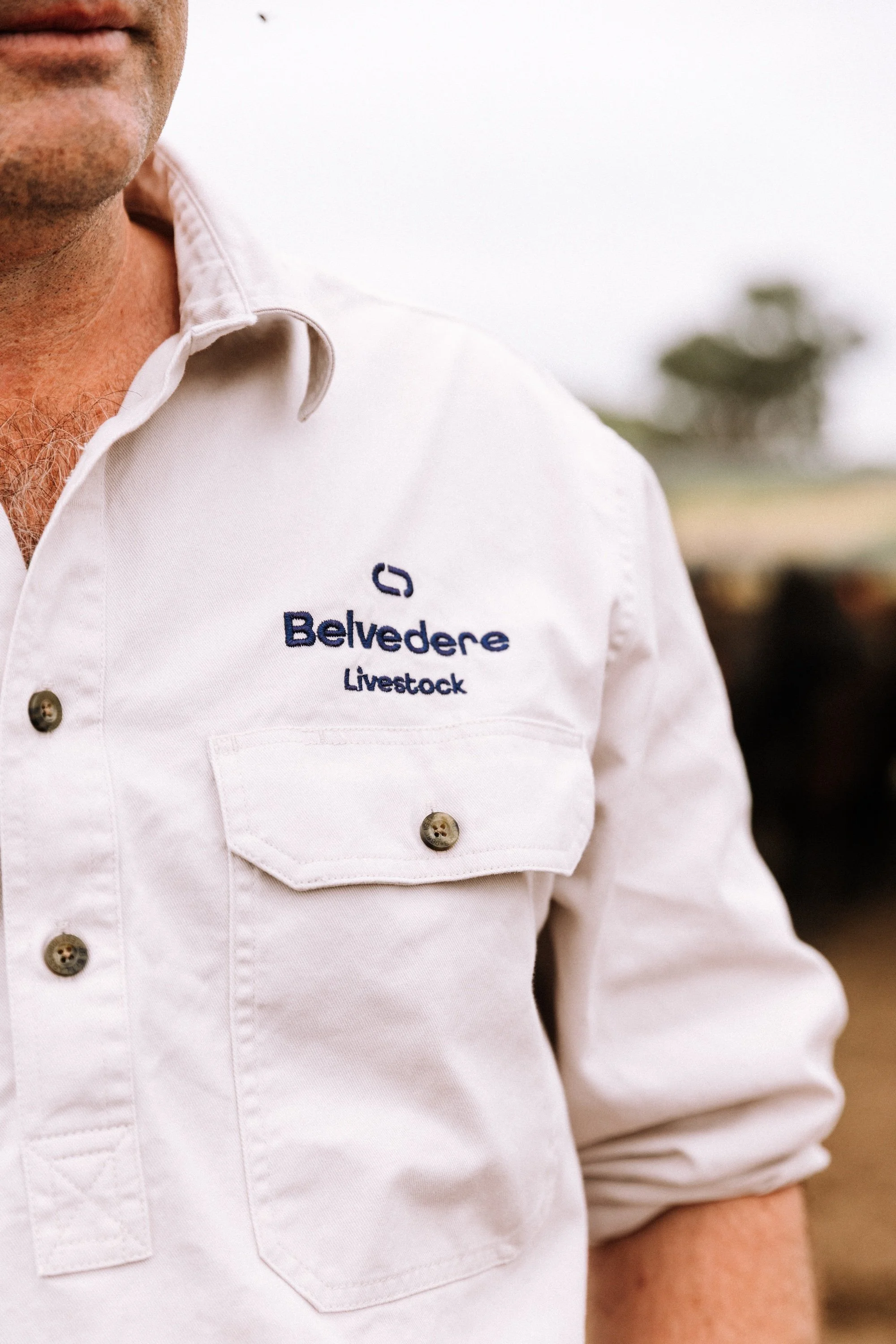 Weathering Change: How Market Intelligence Helps Producers Stay Ahead