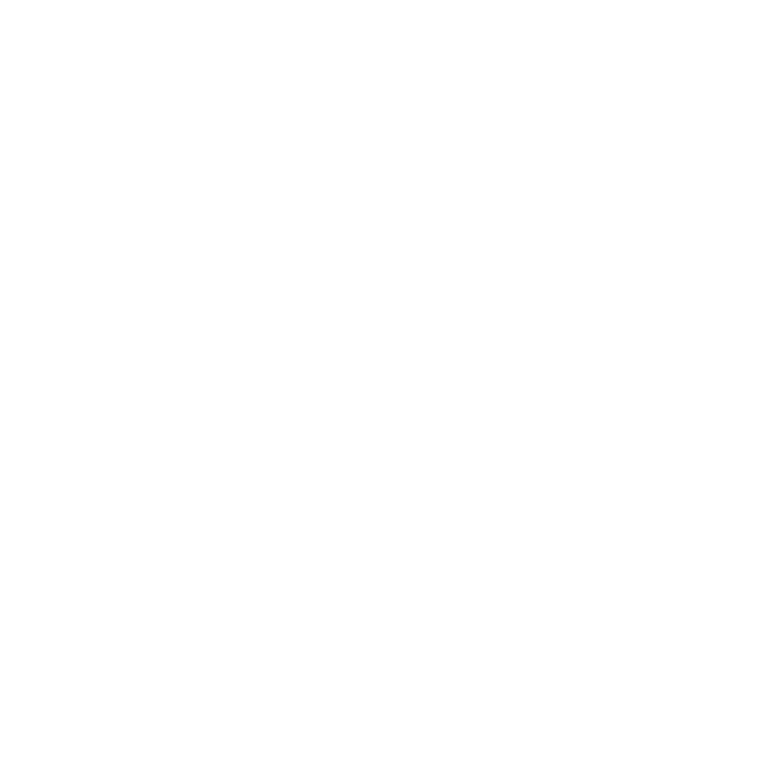 Salon Dion