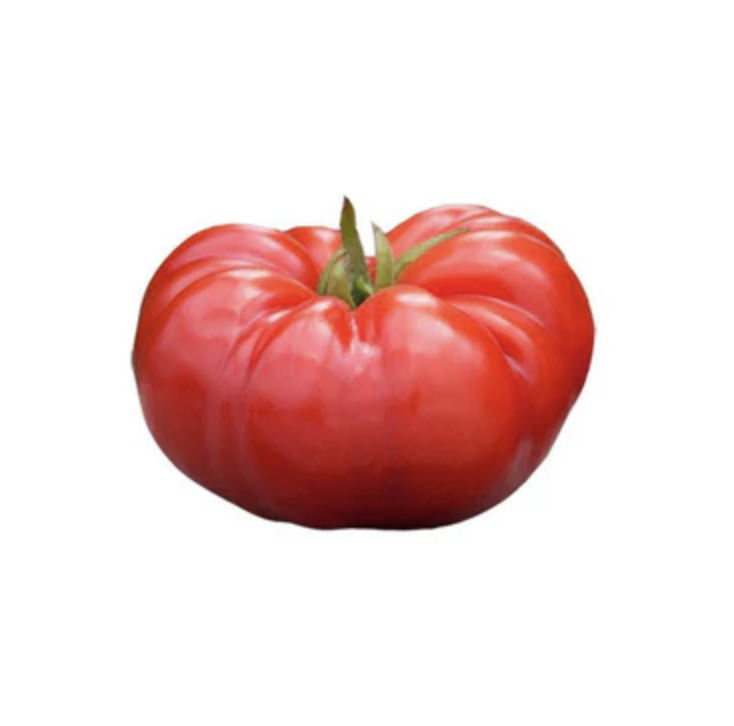 Screenshot 2026-03-23 at 4.32.46 PM.png