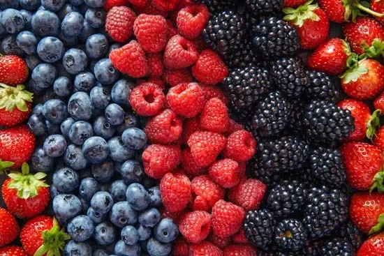 Young Cooks &amp; Farmers - Week One: Berry Madness