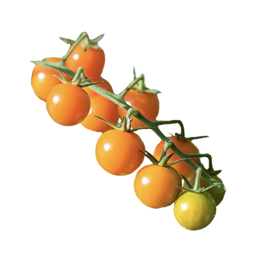 Screenshot 2026-03-23 at 4.35.48 PM.png