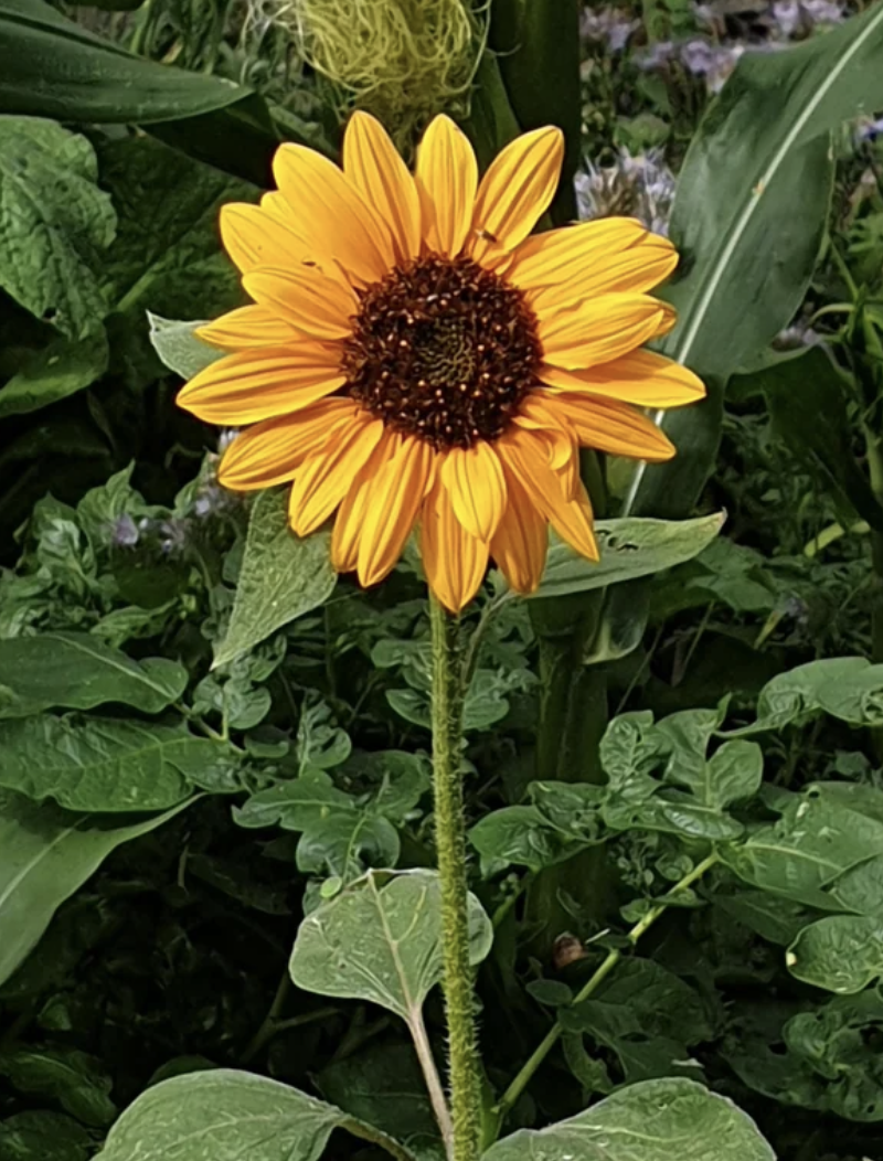 Screenshot 2026-03-23 at 12.13.59 PM.png